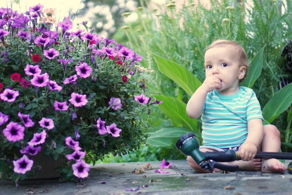 garden themed children's books, flowers and vegetables