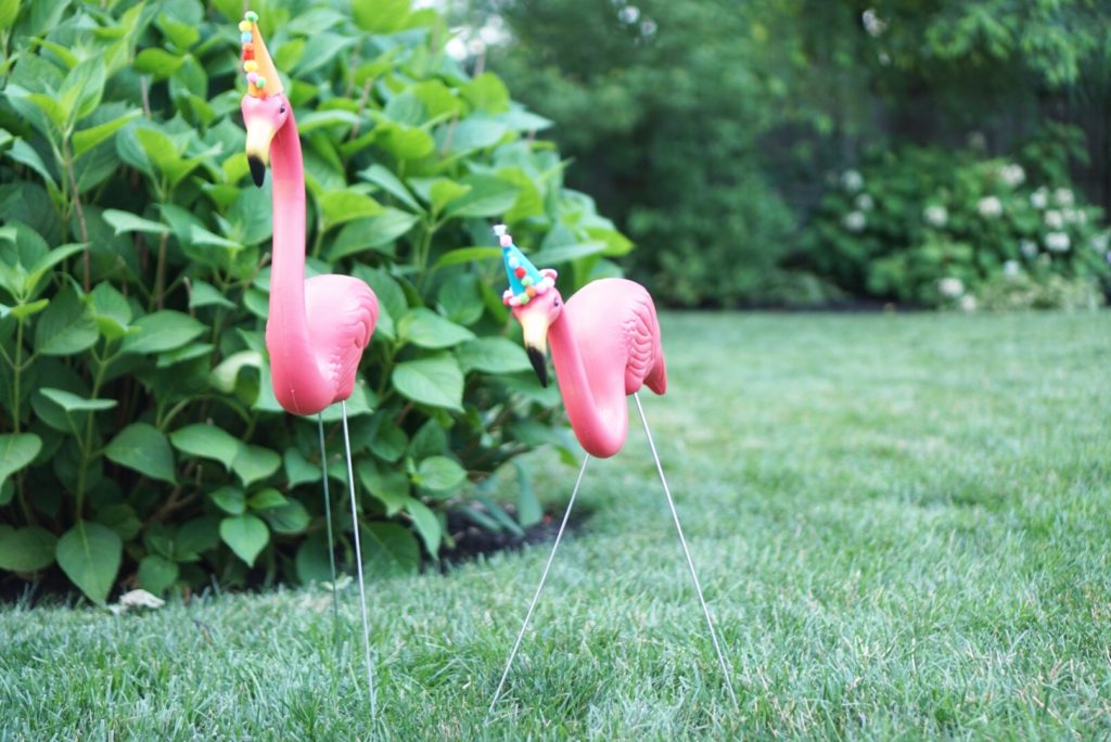 flamingos in party hats party animal birthday decoration