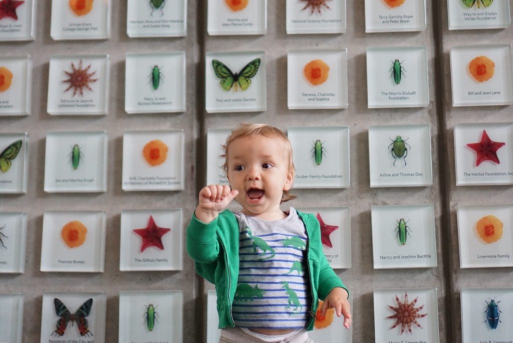 Visit San Francisco with Toddler, california academy of sciences