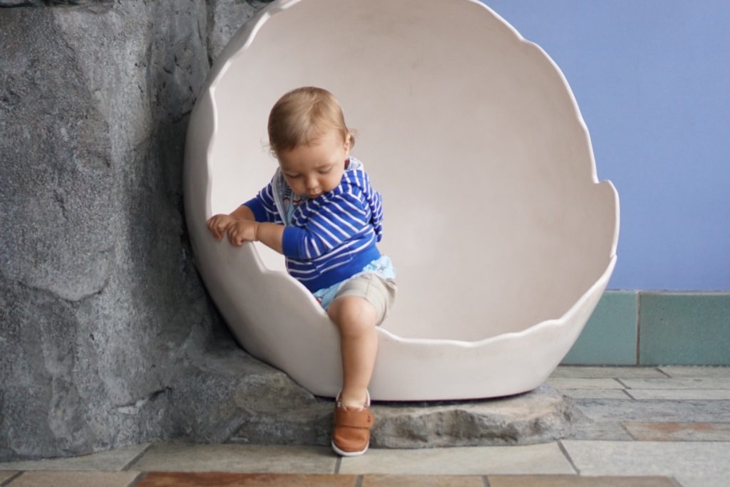 monterey bay aquarium with toddlers