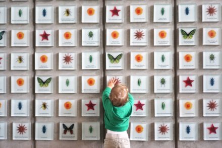 California Academy of Sciences Insect Wall