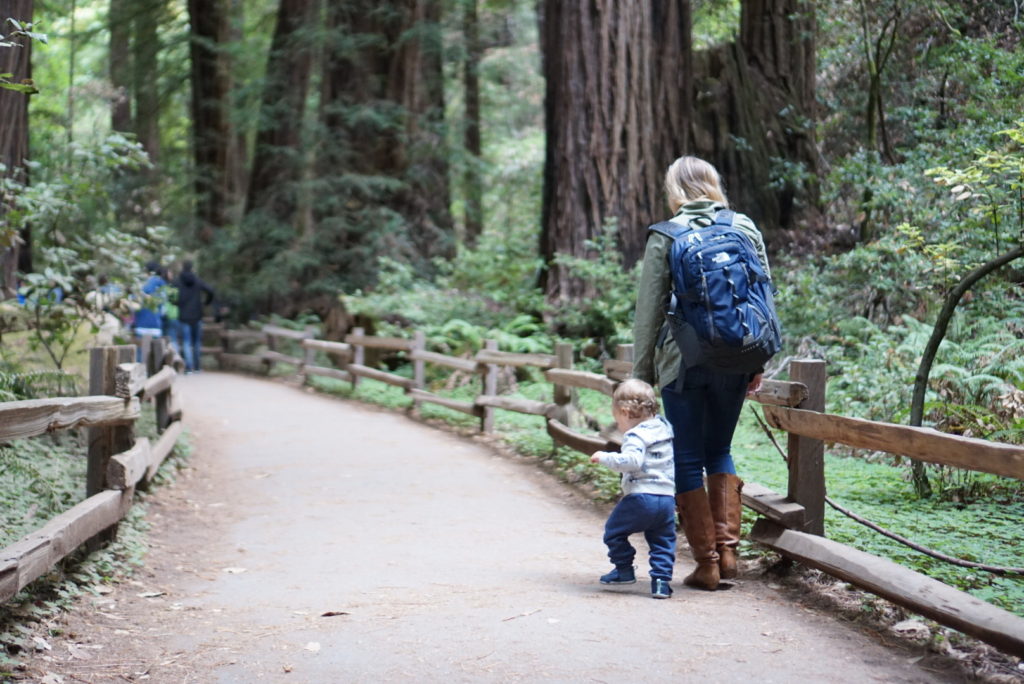 Muir Woods San Francisco Sausalito With Baby Redwood Forest