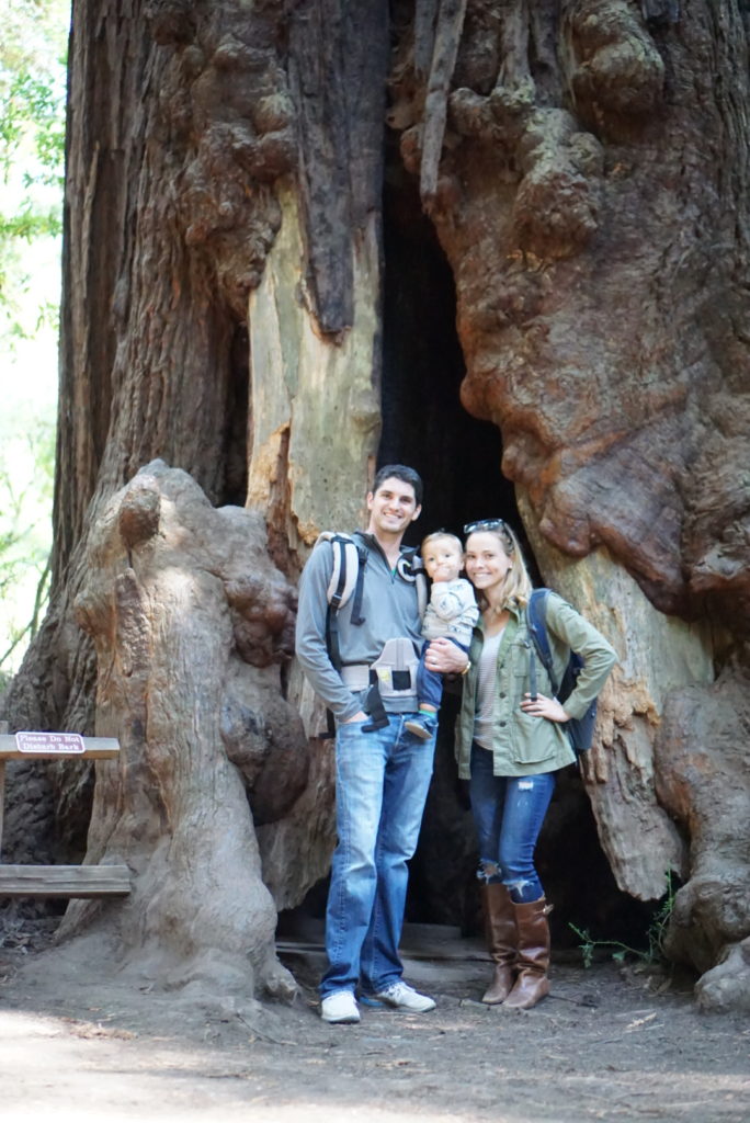 Muir Woods San Francisco Sausalito With Baby Toddler Redwood Forest