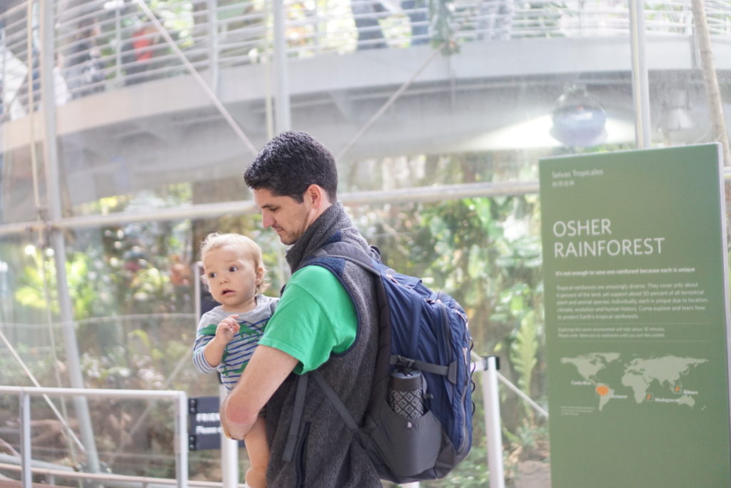 California Academy of Sciences Rainforest