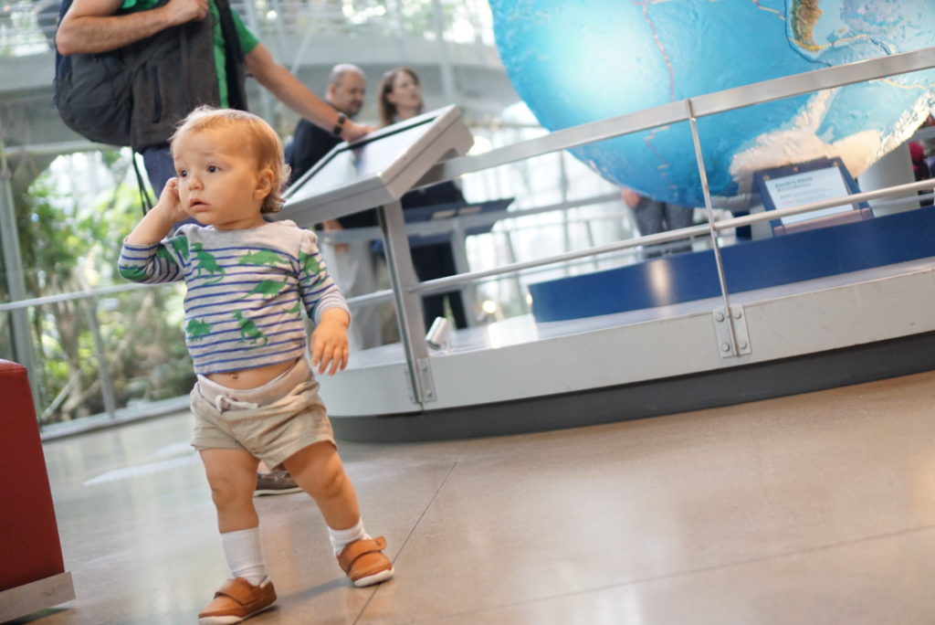 California Academy of Sciences Earthquake