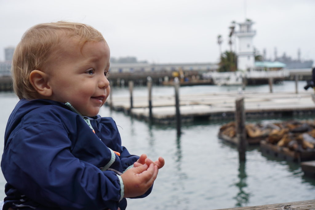 Pier 39 San Fransisco Bay Fisherman's Wharf with Toddler