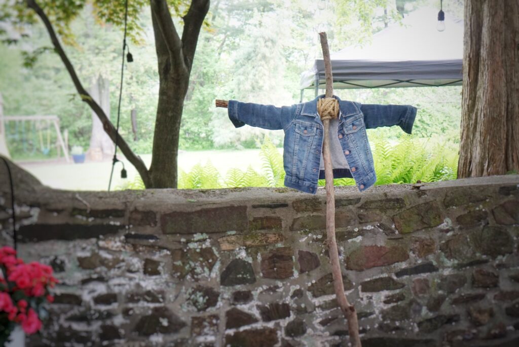 Peter Rabbit first birthday party mr mcgregors garden