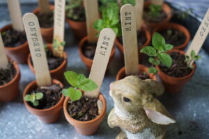 Peter Rabbit first birthday party favors