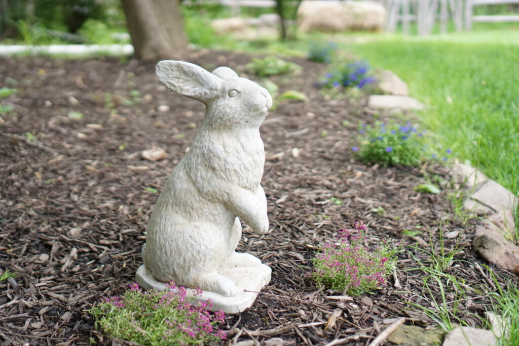 Peter Rabbit first birthday party Mr McGregor's Garden